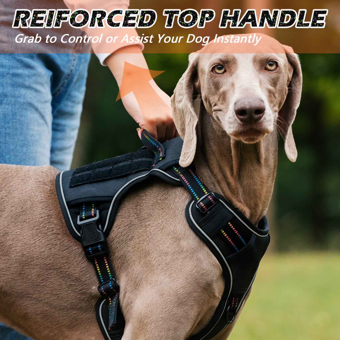 Rainbow Reflective Dog Tactical Harness