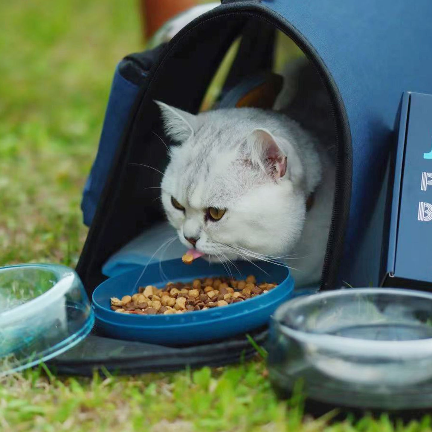 Outdoor Pet Bowl Cat Bowl Dog Bowl