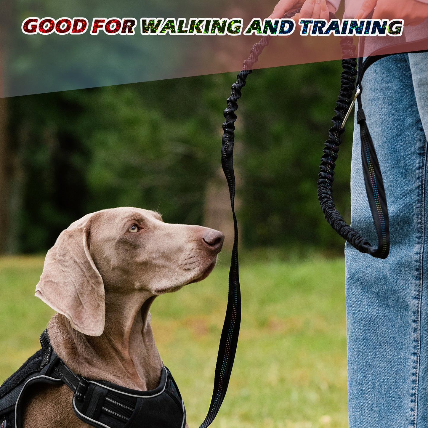 Reflective Rainbow Dog Elastic Anti-Burst Leash - 2 Meters