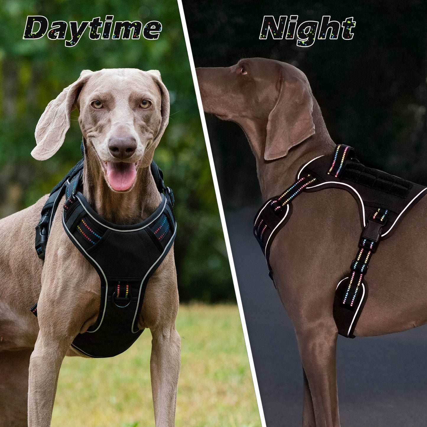 Rainbow Reflective Dog Tactical Harness