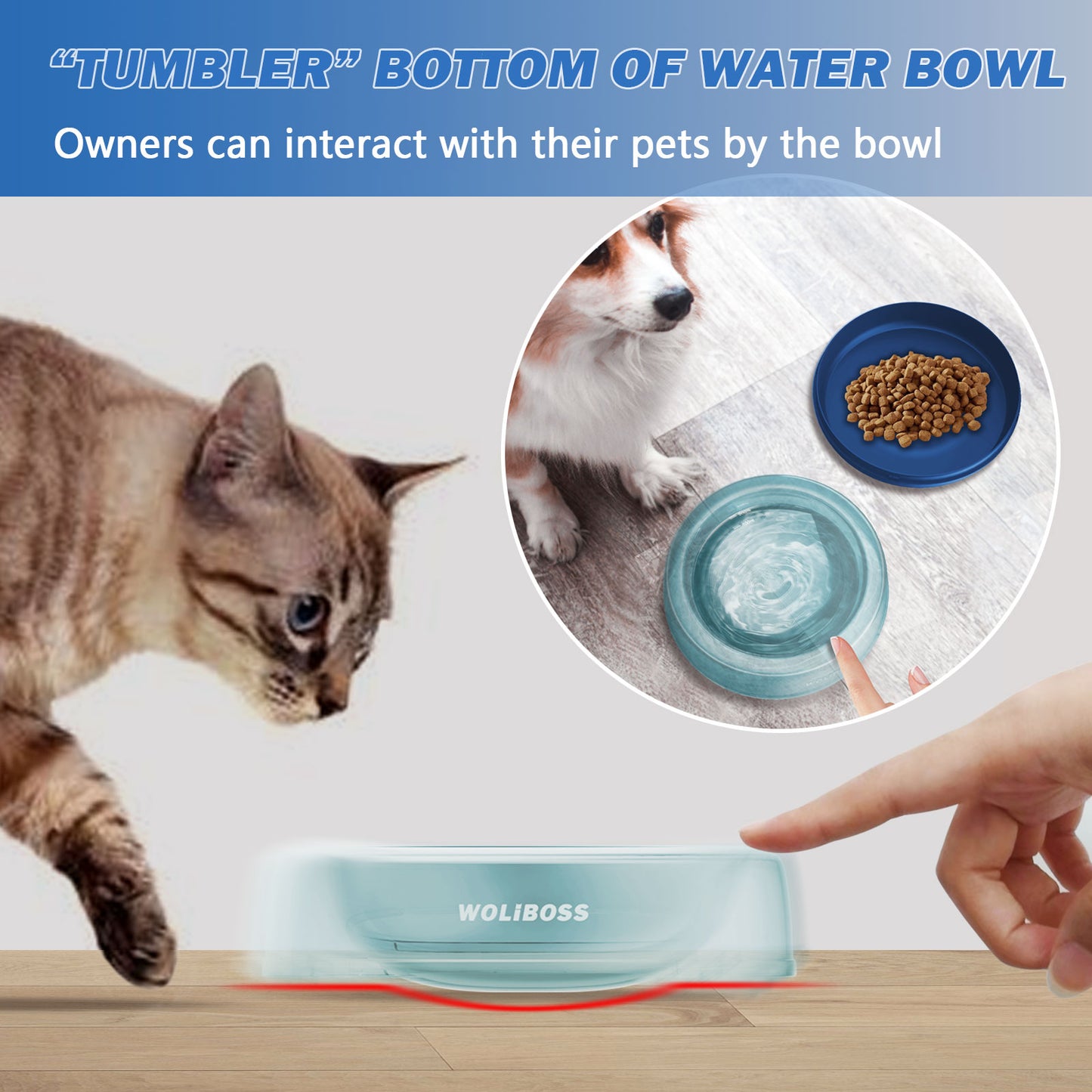 Outdoor Pet Bowl Cat Bowl Dog Bowl