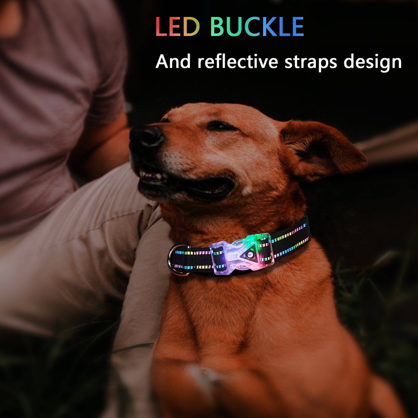 Rainbow LED pet collar lighting collar